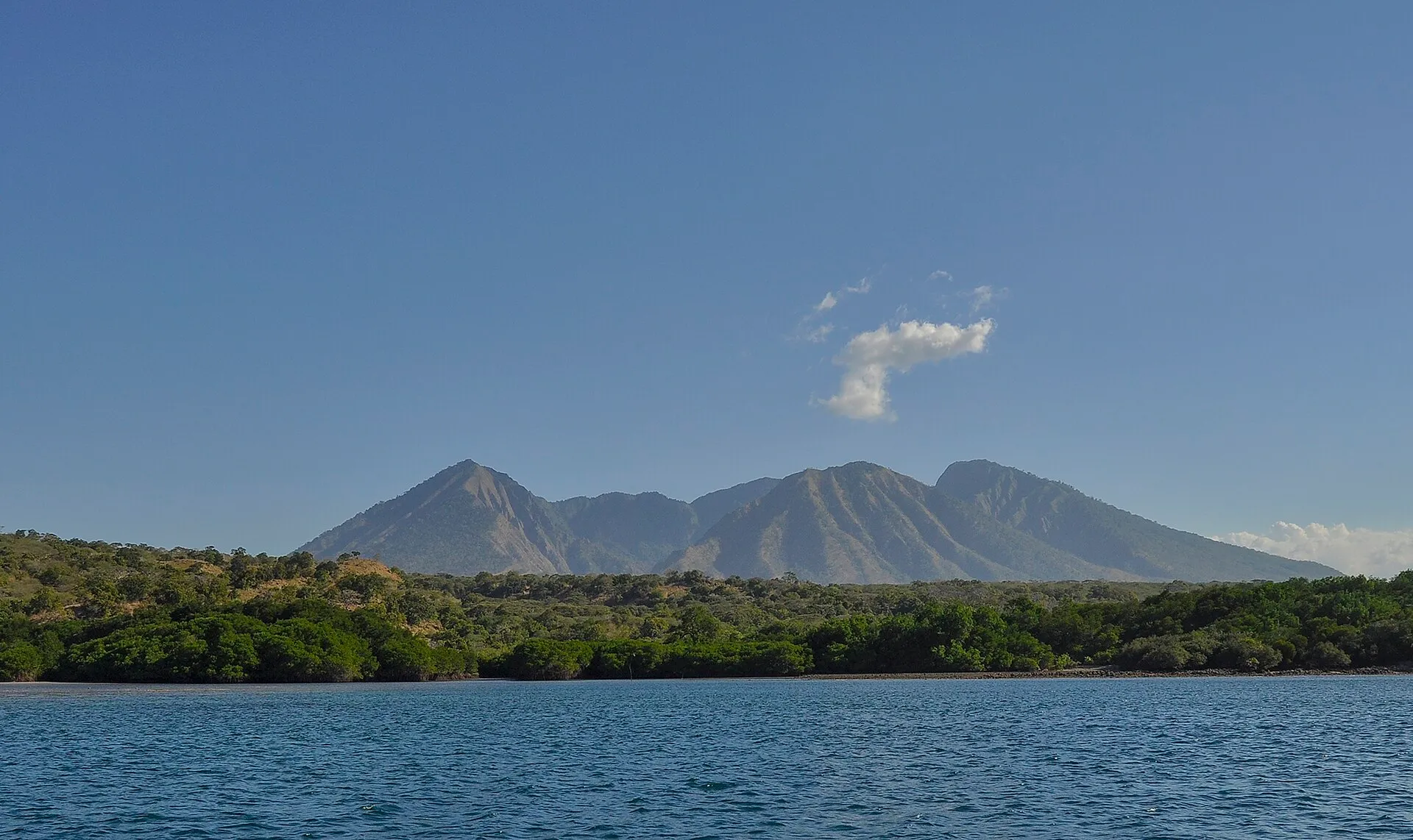 Savana Baluran dengan latar gunung dan langit terbuka.