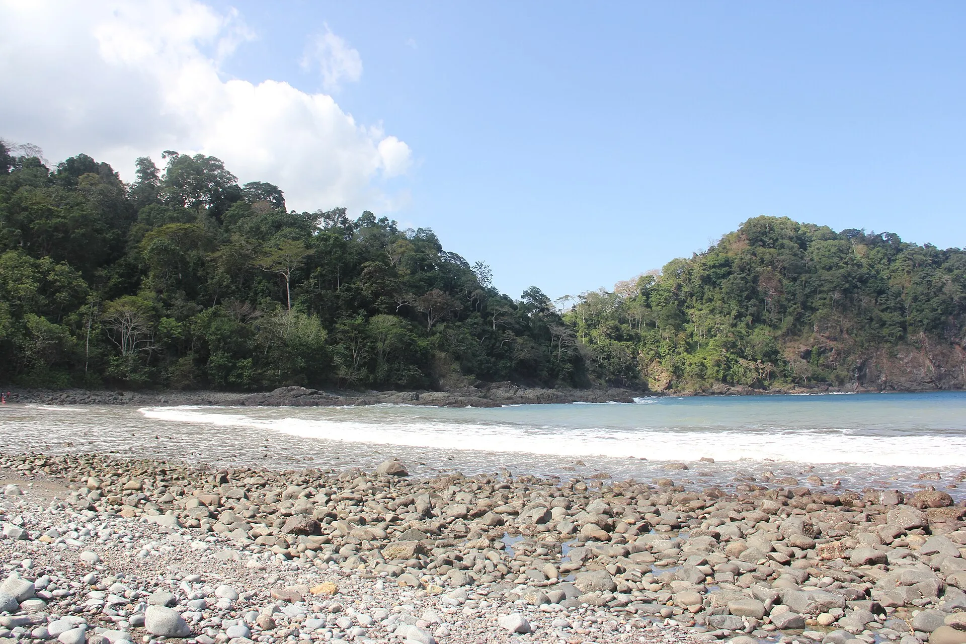 Air laut hijau jernih dengan garis pesisir di Teluk Hijau, Banyuwangi.